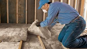 Best Garage Insulation  in Chapel Hill, TN