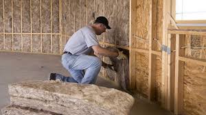 Best Insulation for Existing Homes  in Chapel Hill, TN